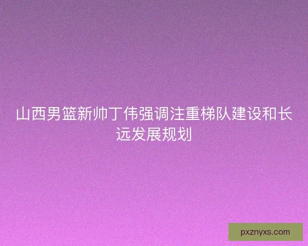 山西男篮新帅丁伟强调注重梯队建设和长远发展规划