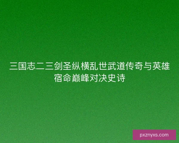 三国志二三剑圣纵横乱世武道传奇与英雄宿命巅峰对决史诗