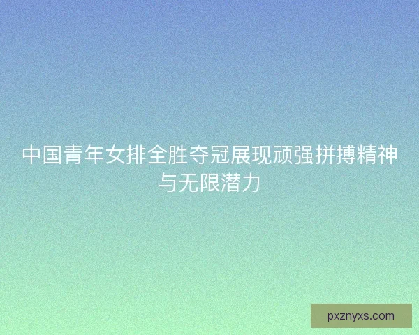 中国青年女排全胜夺冠展现顽强拼搏精神与无限潜力